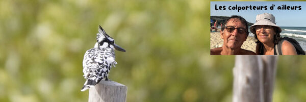 capalest.lescolporteursdailleurs.com